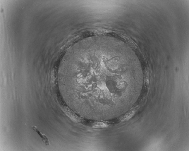 X0000067950519200604171438