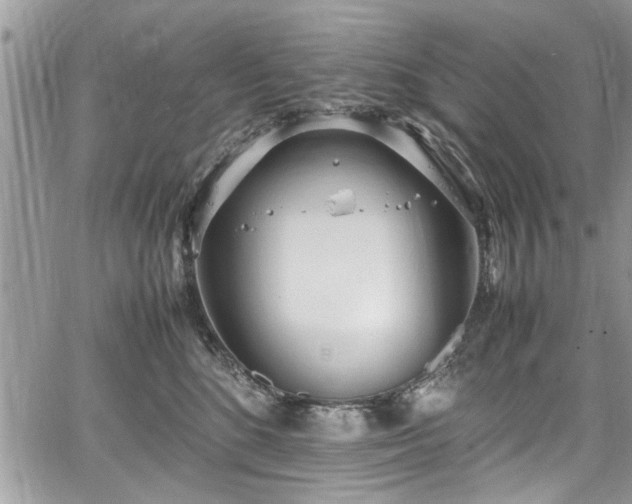 X0000067950520200604171438