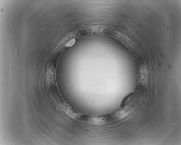 X0000067950522200604171438