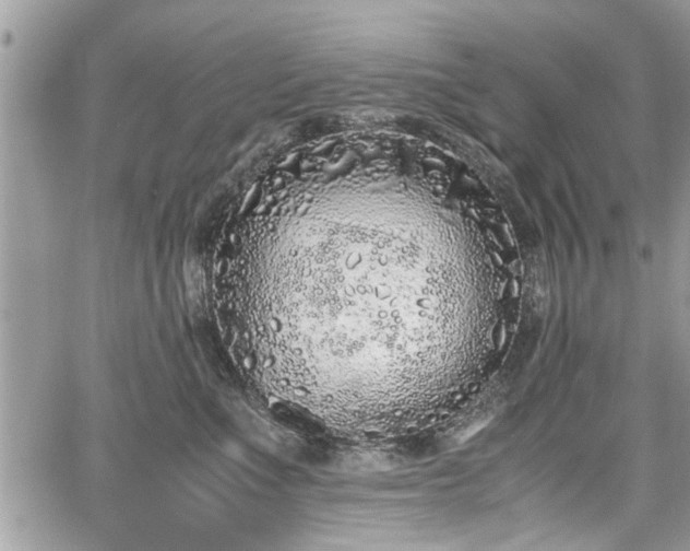 X0000067950523200604171438