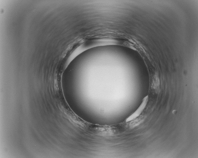 X0000067950524200604171438