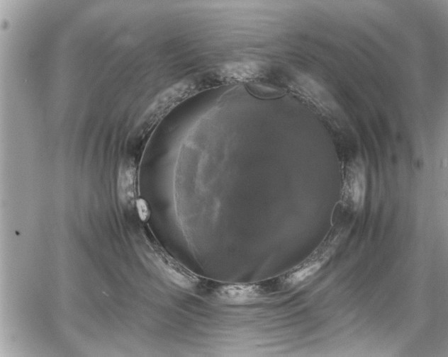 X0000067950526200604171438