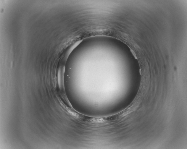 X0000067950528200604171438