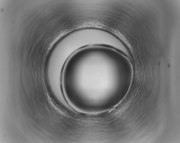 X0000067950530200604171438