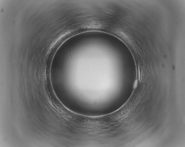 X0000067950531200604171438