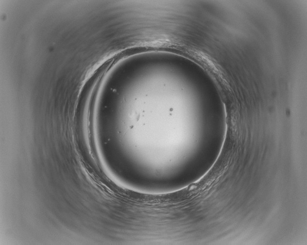 X0000067950532200604171438