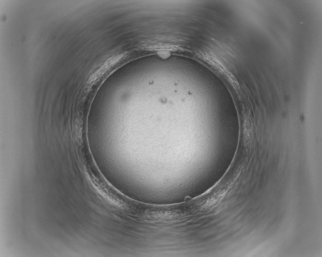 X0000067950533200604171438