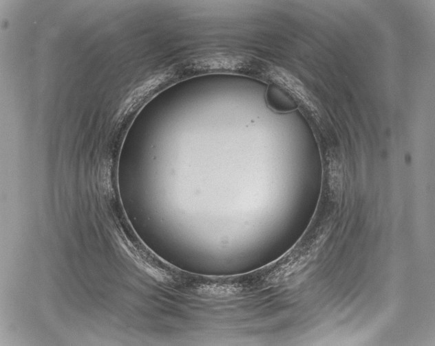 X0000067950537200604171438