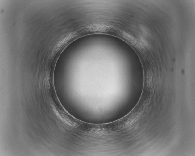 X0000067950538200604171438