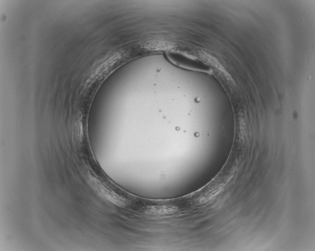 X0000067950541200604171438