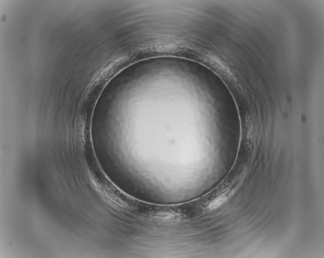 X0000067950542200604171438