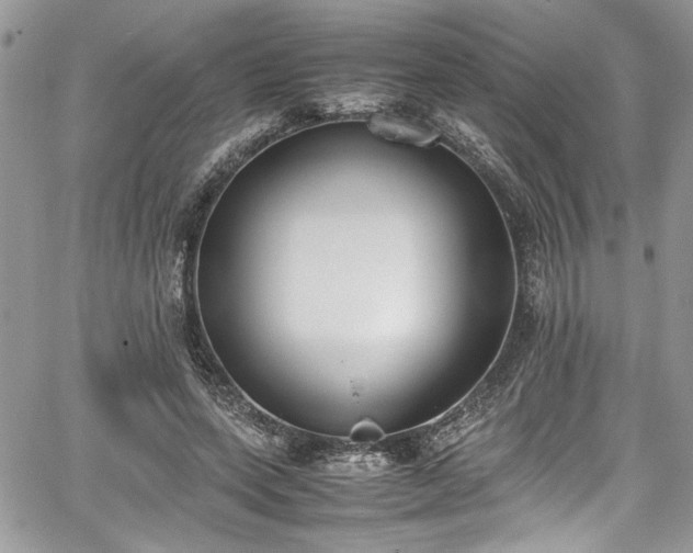 X0000067950543200604171438