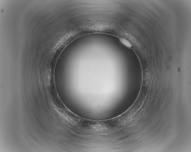 X0000067950544200604171438