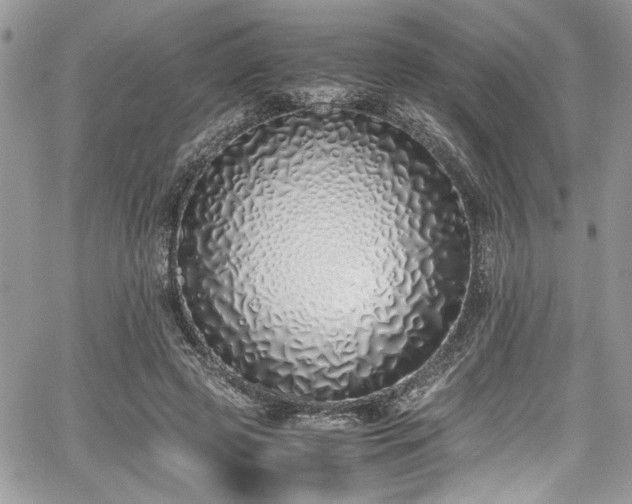 X0000067950545200604171438