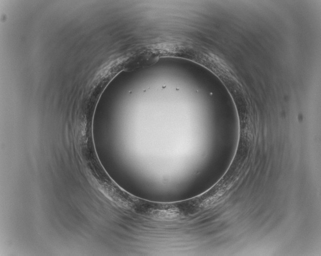 X0000067950548200604171438