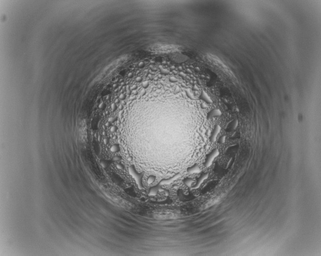 X0000067950549200604171438