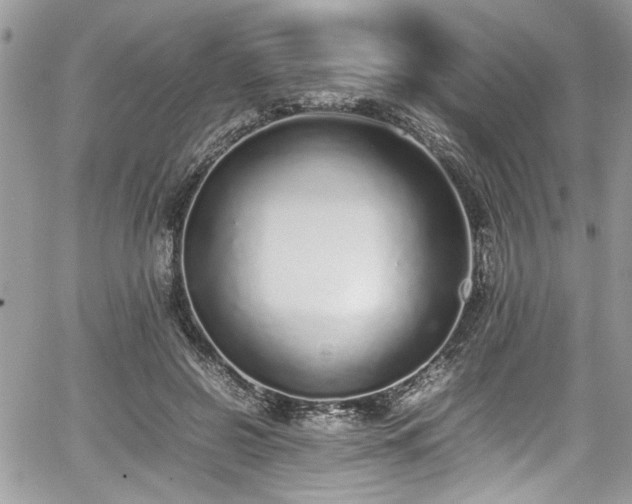 X0000067950550200604171438