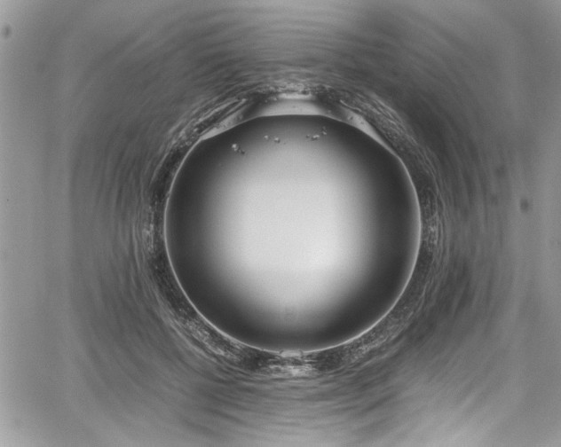 X0000067950552200604171438