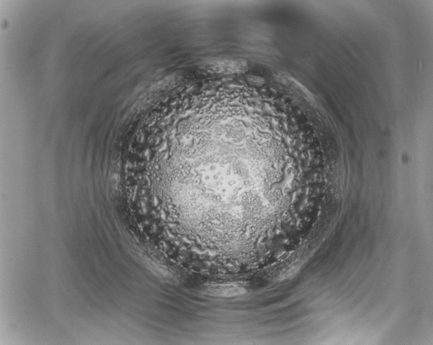 X0000067950553200604171438