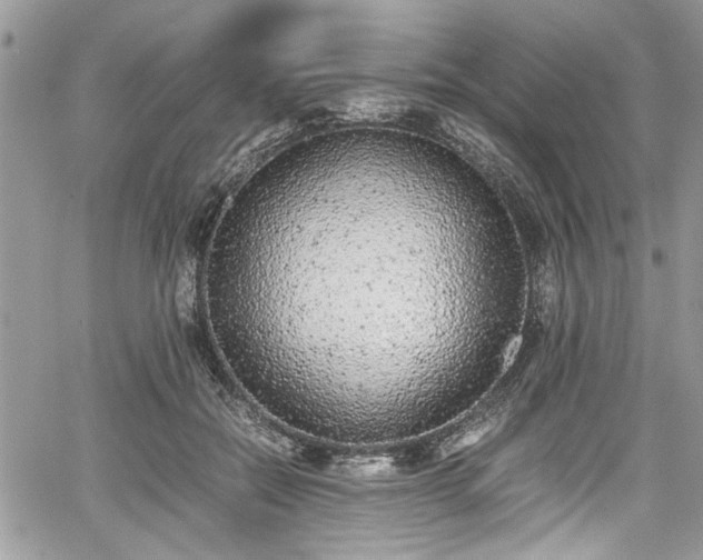 X0000067950554200604171438