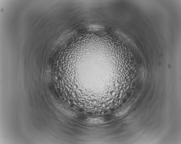 X0000067950557200604171438