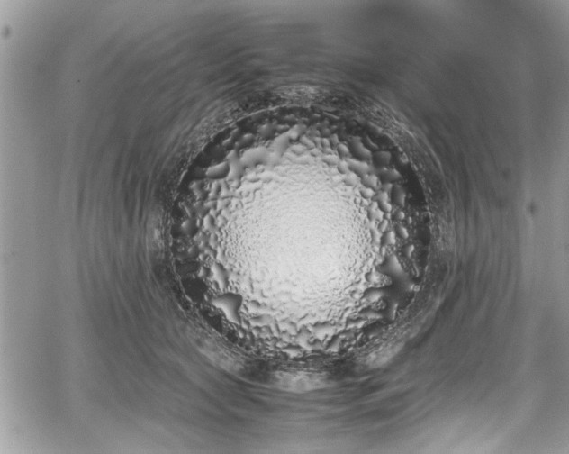 X0000067950561200604171438