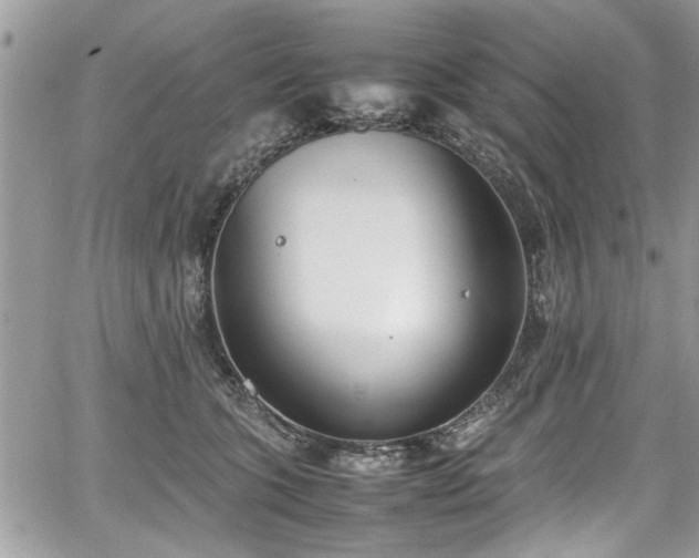 X0000067950563200604171438