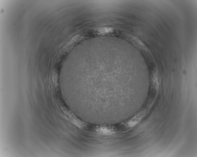 X0000067950565200604171438