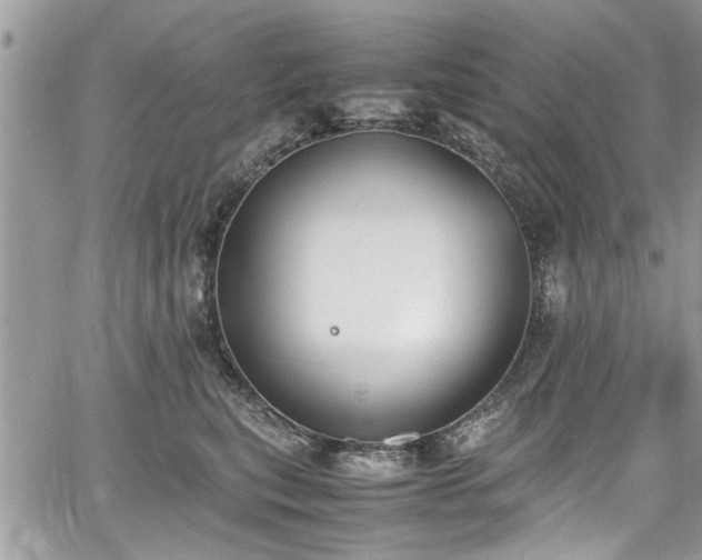 X0000067950567200604171438