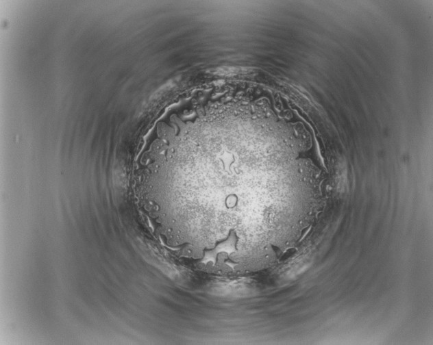 X0000067950569200604171438