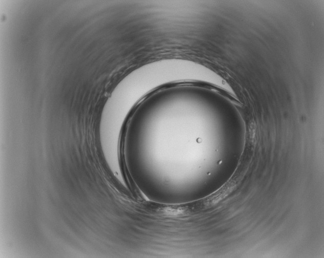 X0000067950570200604171438