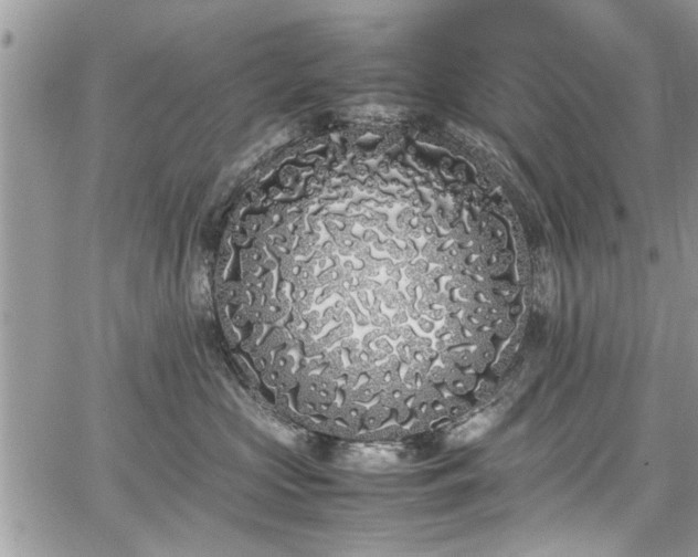 X0000067950573200604171438