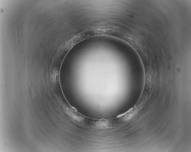 X0000067950574200604171438