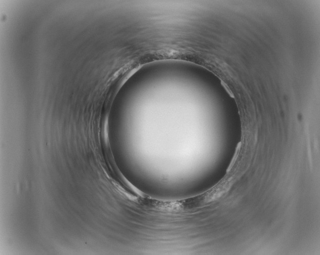 X0000067950576200604171438