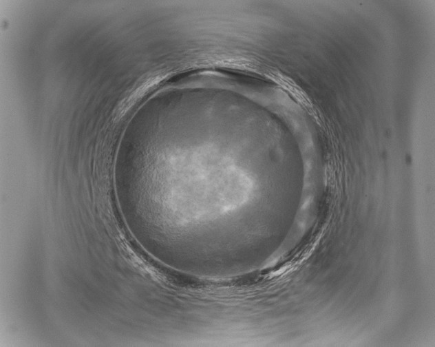 X0000067950577200604171438