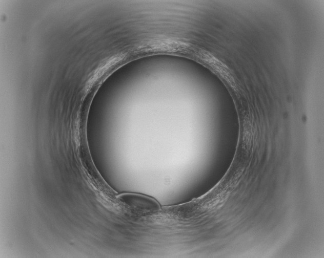 X0000067950578200604171438