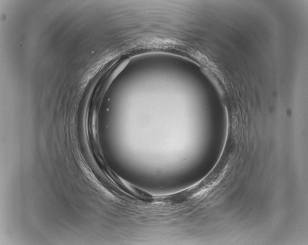 X0000067950581200604171437