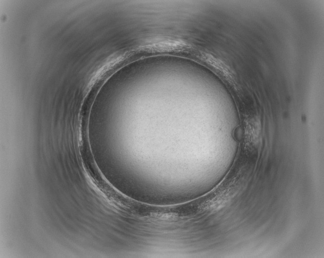 X0000067950582200604171437