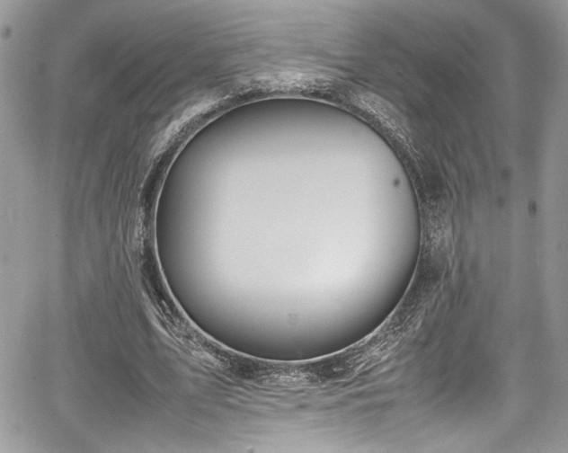 X0000067950583200604171437