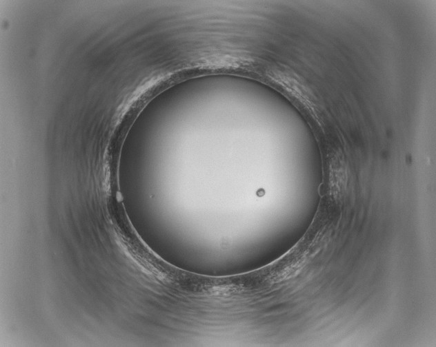 X0000067950584200604171437