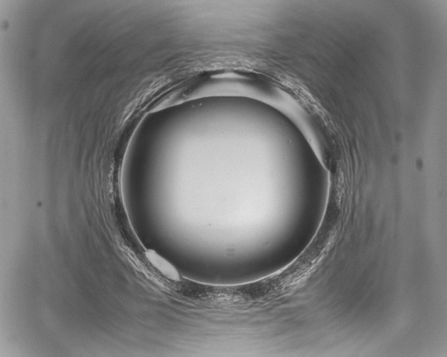 X0000067950585200604171437