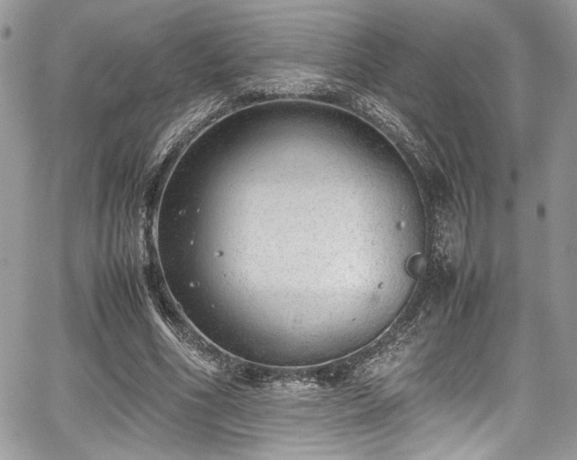 X0000067950586200604171437