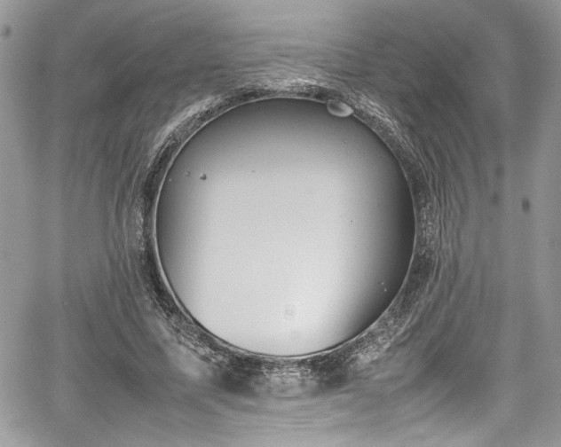 X0000067950587200604171437