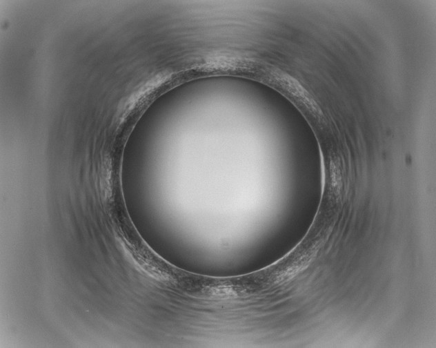 X0000067950588200604171437