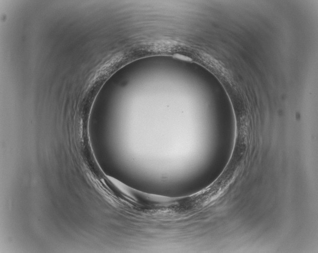 X0000067950589200604171437