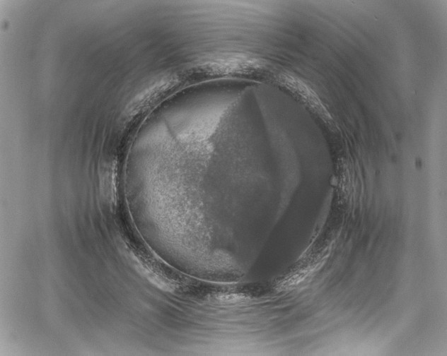 X0000067950590200604171437