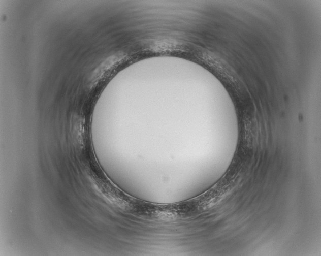 X0000067950592200604171437