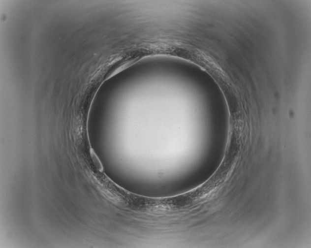 X0000067950593200604171437