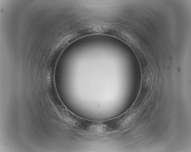 X0000067950595200604171437