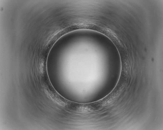 X0000067950596200604171437